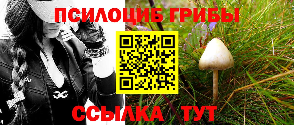 Кисловодск  закладка  Вход с VPN  Псилоцибиновые грибы Cubensis 