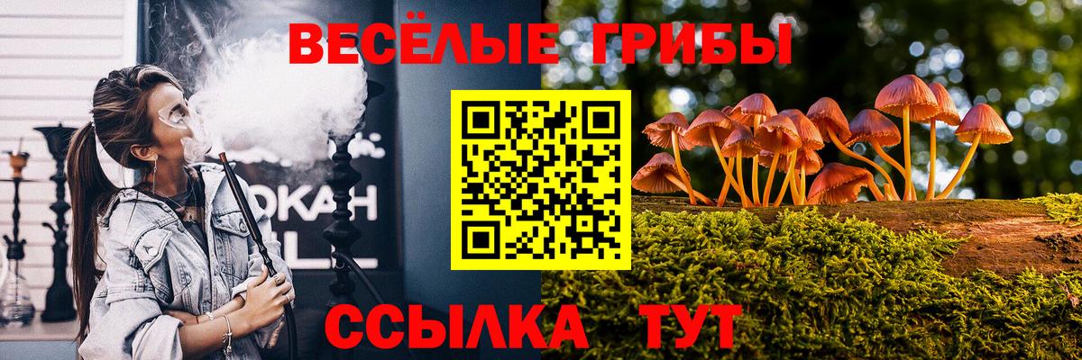 Псилоцибиновые грибы MAGIC MUSHROOMS Кисловодск