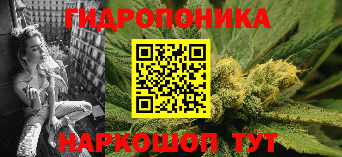 Бошки марихуана OG Kush  Шишки марихуана OG Kush  Кисловодск  Вход с VPN 